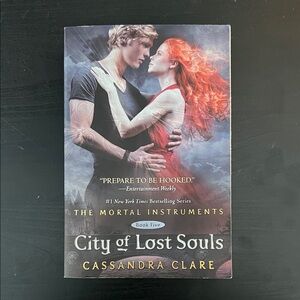 City of Lost Souls Book